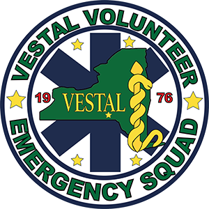 VVES Logo